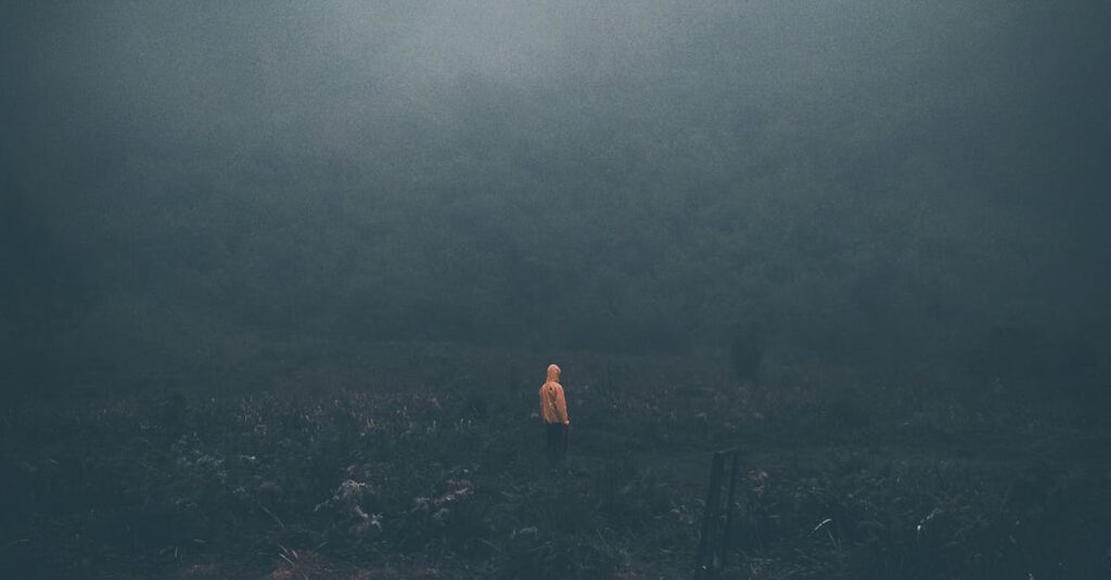 pexels photo 2894944 2894944.jpg