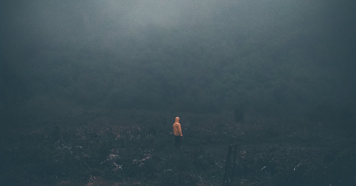 pexels photo 2894944 2894944.jpg